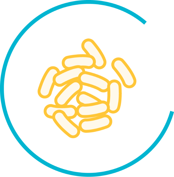 Bacteria grows